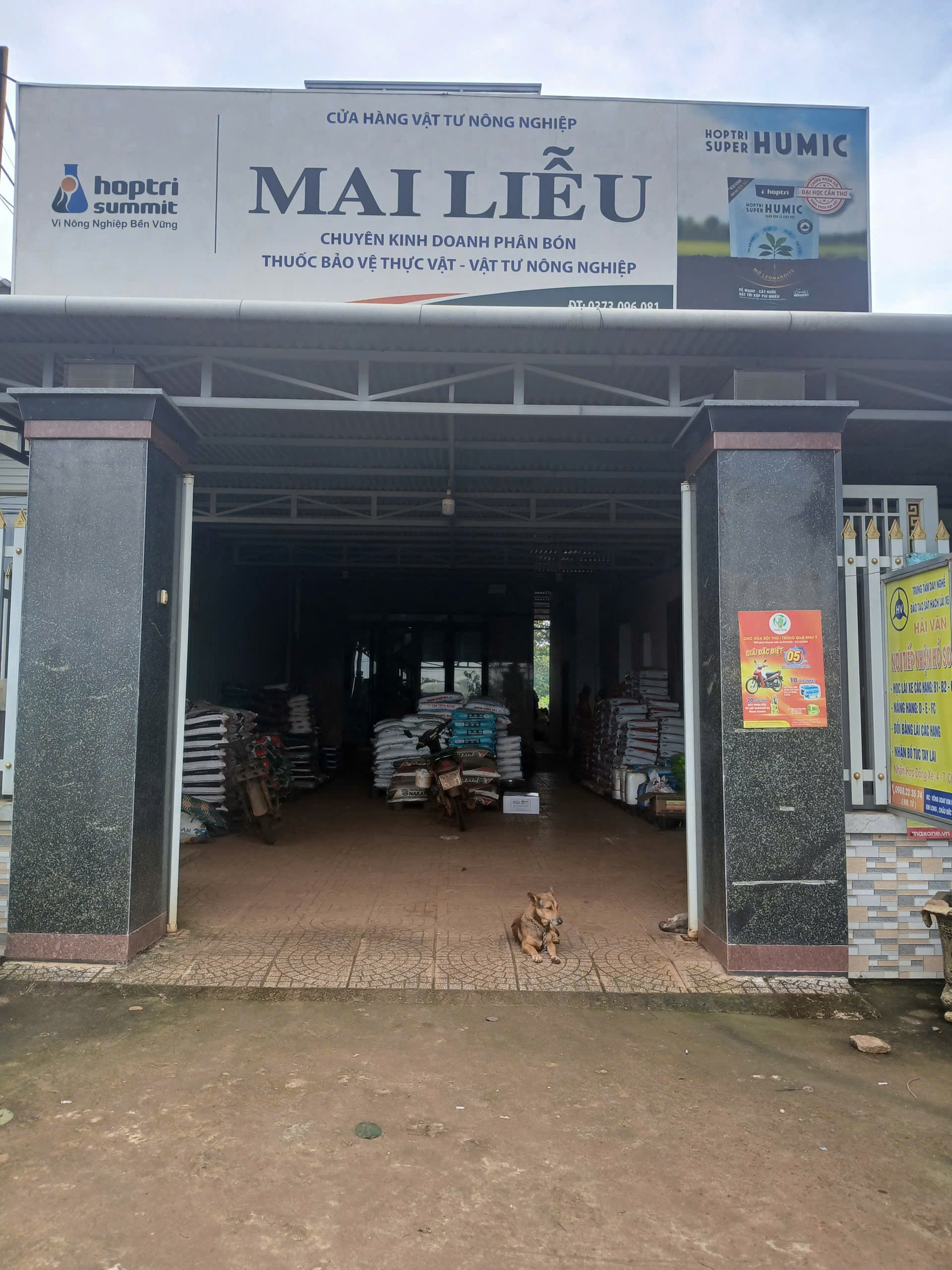 Mai Liễu. XM1